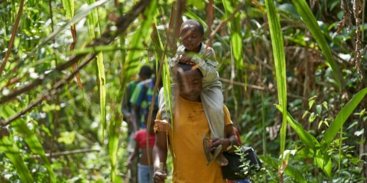 Número récord de niños cruzó el Tapón de Darién este año