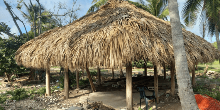 Asociaciones turísticas piden acelerar desalojo de ocupantes ilegales en playa Cabeza de Toro