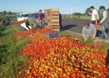Caribe: Santa Lucía aumenta su capacidad productiva