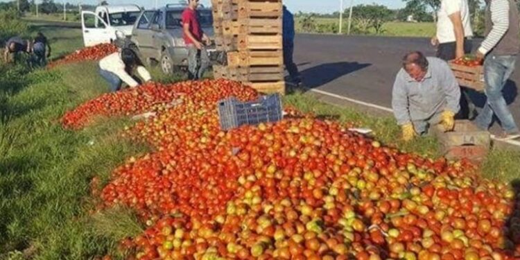 Caribe: Santa Lucía aumenta su capacidad productiva