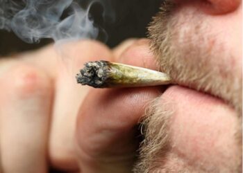 Este jueves abre en NYC primera tienda vender marihuana legal