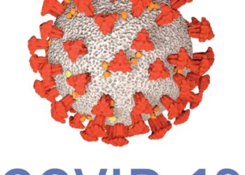 Estadísticas de muertos por covid y balas en USA en 2022