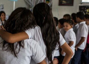 La presencia de la educación privada es elevada en América Latina; más del 40% en RD