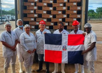 Agricultura pondera impacto de exportación de vacuno hacia Estados Unidos   