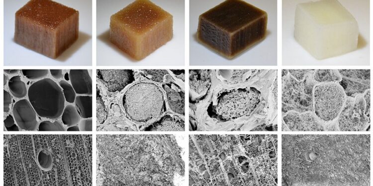Producen electricidad de madera sumergida en agua