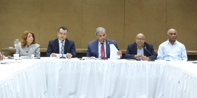 JCE explica a diputados su propuesta de proyecto electoral