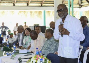 Fuerza del Pueblo realiza reunión en Haina y evalúa actividades 