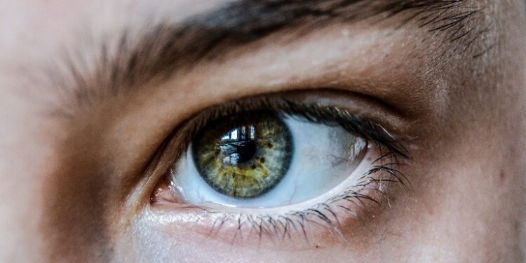 El color blanco de los ojos podría tener relación con el lenguaje.