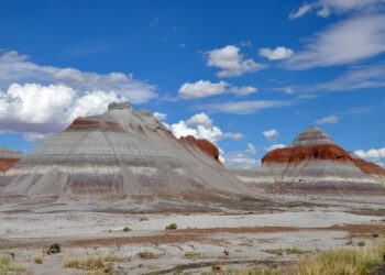 Nuevas muestra fósiles del Triásico revelan los orígenes de los anfibios vivos