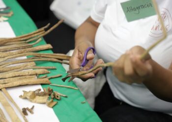 Personas con discapacidad tendrán oportunidades de empleos en Punta Cana