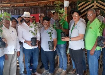 CoopEclof participa en jornada de reforestación en la cuenca de la  presa de Valdesia