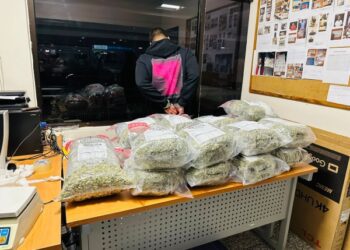 Confiscan a estadounidense 34 paquetes de marihuana sintética