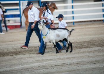 Inaugurada este viernes la Feria Nacional Agropecuaria 2023