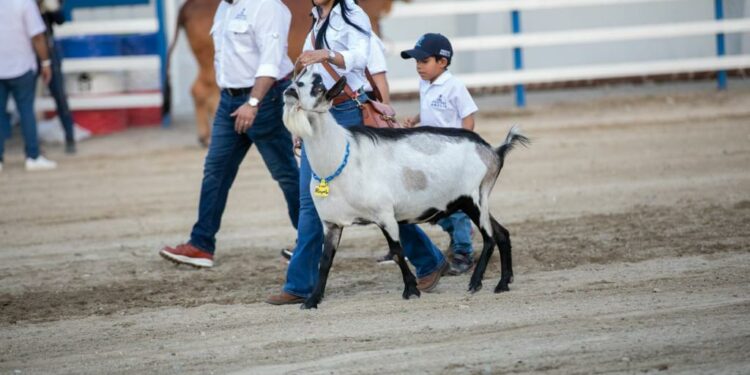 Inaugurada este viernes la Feria Nacional Agropecuaria 2023