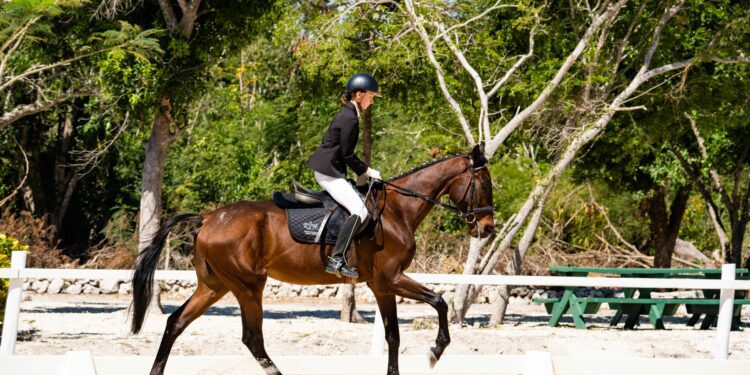 Arranca la competencia nacional de adiestramiento en Puntacana Resort & Club
