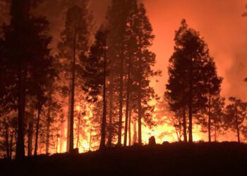 Academia de Ciencias expresa preocupación en torno a Valle Nuevo