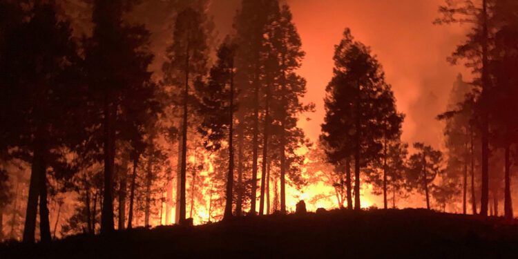 Academia de Ciencias expresa preocupación en torno a Valle Nuevo