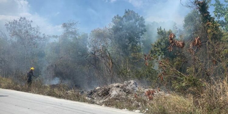 Envían a prisión nueve hombres provocaron incendio forestal en La Altagracia