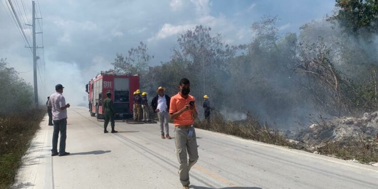 Envían a prisión nueve hombres provocaron incendio forestal en La Altagracia
