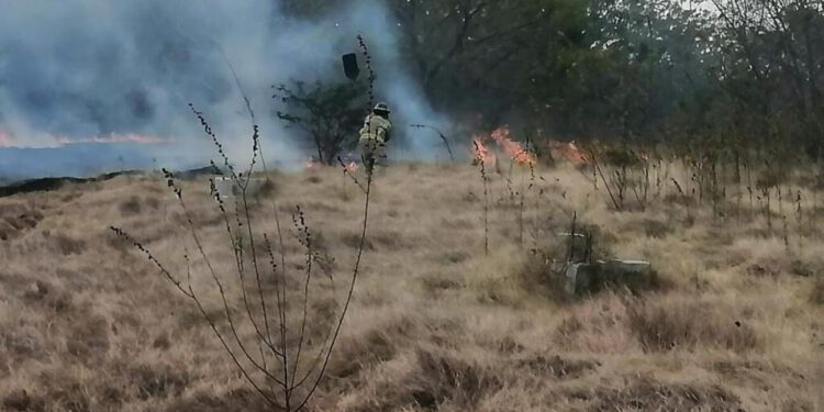 Proyectan líneas cortafuegos terminará con incendio forestal en valle Nuevo