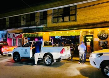 Casi  5,000 casos de delitos ambientales fueron procesados en 2022