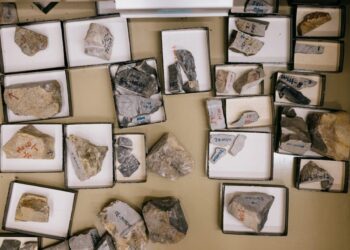 Geocientíficos arrojan luz sobre la evolución de la vida compleja