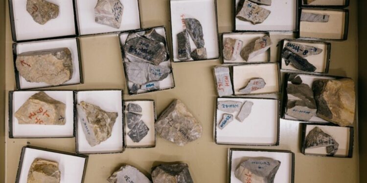 Geocientíficos arrojan luz sobre la evolución de la vida compleja