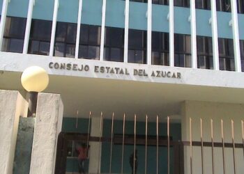 Agrimensores denuncian paralización más de 60 mil expedientes inmobiliarios