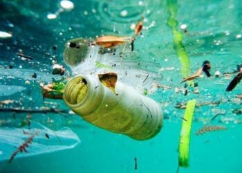  Revelan un aumento sin precedentes del plástico en los océanos desde 2005