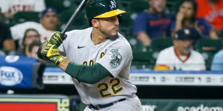 El Licey proyecta tener 18 peloteros en equipos de Grandes Ligas