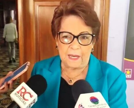 PLD reclama al Gobierno respetar el derecho a la protesta