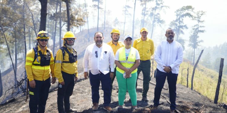 Genao califica de Terrorismo Ambiental incendio de bosques y Vertederos