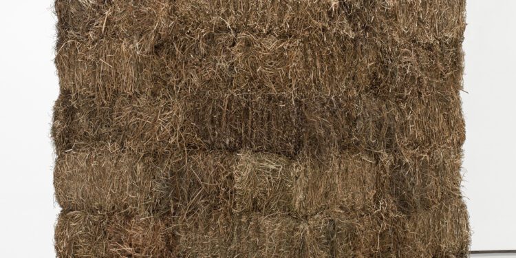 Museo de Arte Moderno de Nueva York expondrá obra de arte latino