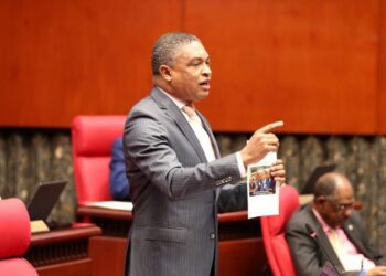 PLD en el Senado reintroduce solicitud de interpelación al director del SNS