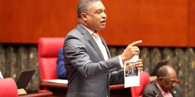 PLD en el Senado reintroduce solicitud de interpelación al director del SNS