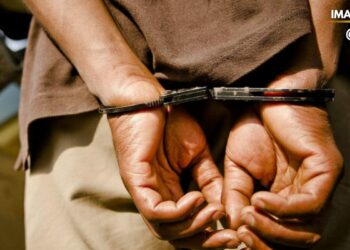 Policía Nacional reporta decenas de detenciones por diversos delitos