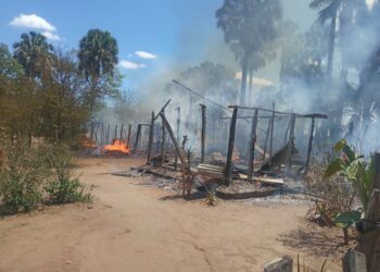 Capturado tras intento de matar a su abuela de 80 años