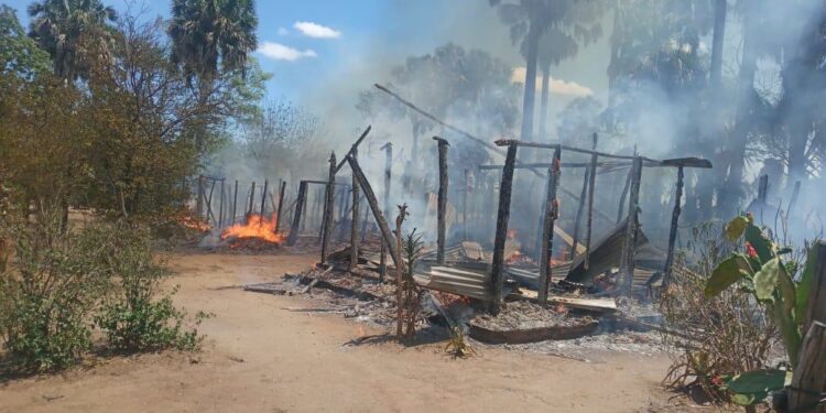 Capturado tras intento de matar a su abuela de 80 años
