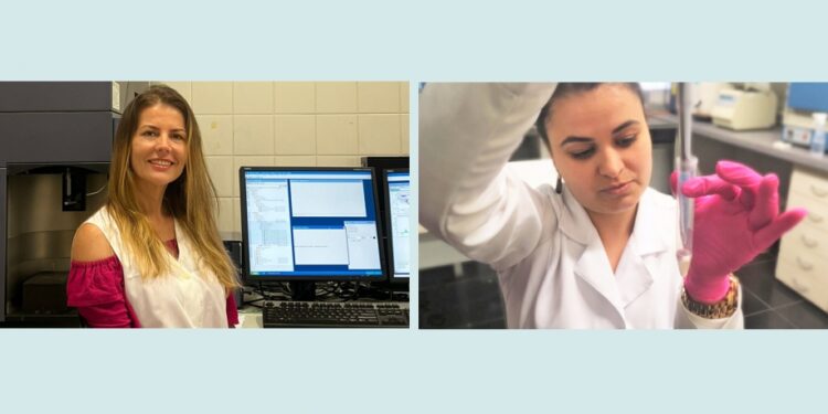 Científicos brasileños prueban técnica de precisión para el análisis de la fertilidad masculina