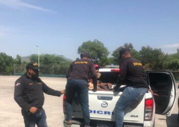 Autoridades haitianas detienen a cinco dominicanos y los entregan a las dominicanas
