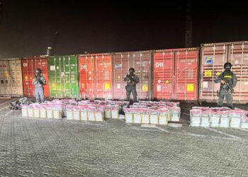 Ocupa 451 paquetes de presunta cocaína en el Puerto Caucedo con destino a Róterdam