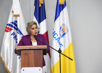 Presidenta Procompetencia propone promover mipymes en sector turístico 