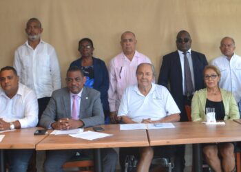 RD 100% Renovable denuncia bloqueo paneles solares sería perjudicial