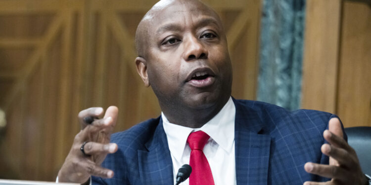 Senador republicano por Carolina del Sur, Tim Scott, desafía a Trump y a DeSantis