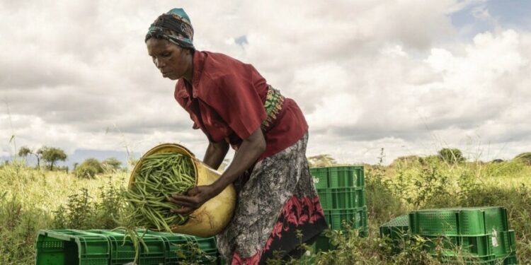 El calor hará perder más horas de trabajo y productividad