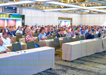 Industria bananera experimenta comportamiento positivo