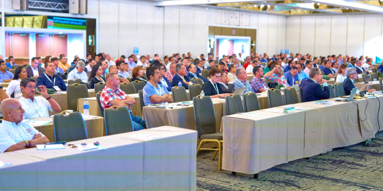 Industria bananera experimenta comportamiento positivo