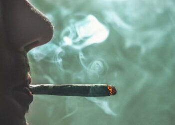 Alarmante incremento del número de consumidores de drogas en el mundo