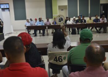 Aduanas ha recaudado 75 millones en subastas públicas en lo que va de año