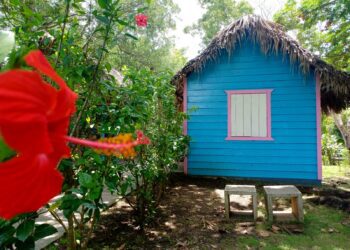 Jardín Botánico Nacional: Belleza vegetal y celebración ambiental